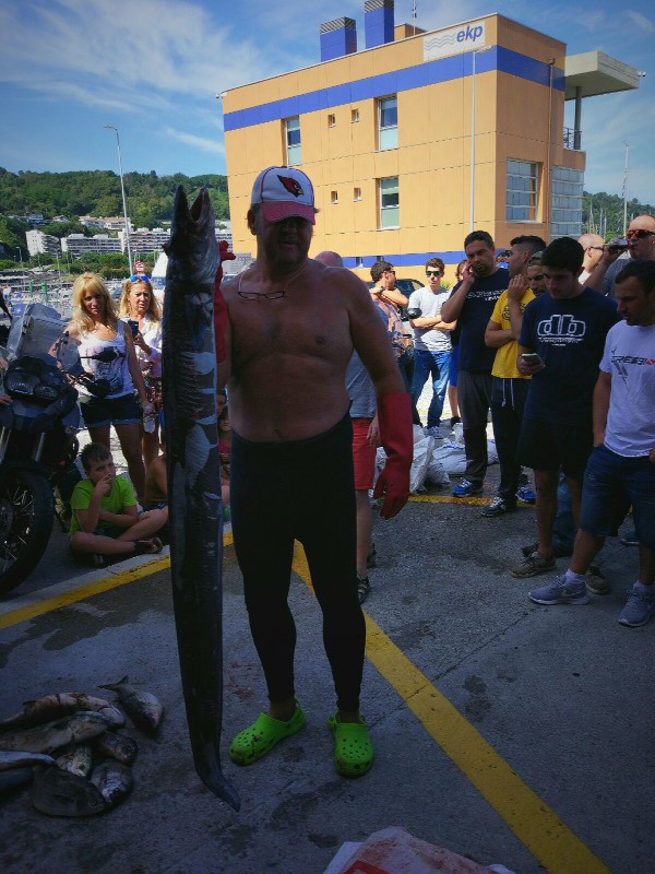 Campeonato Navarro por equipos y Open Navarro "por especies"